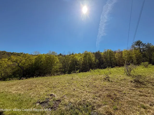 a view of outdoor space and trees