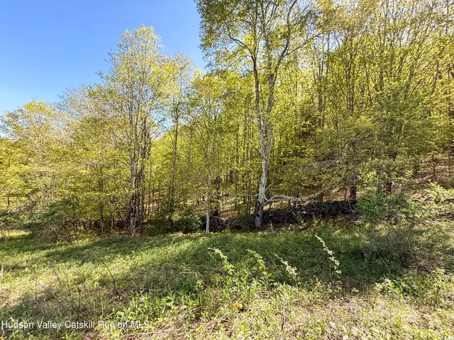 $84,900 | Lot 4 Quail Ridge, Margaretville, NY 12455