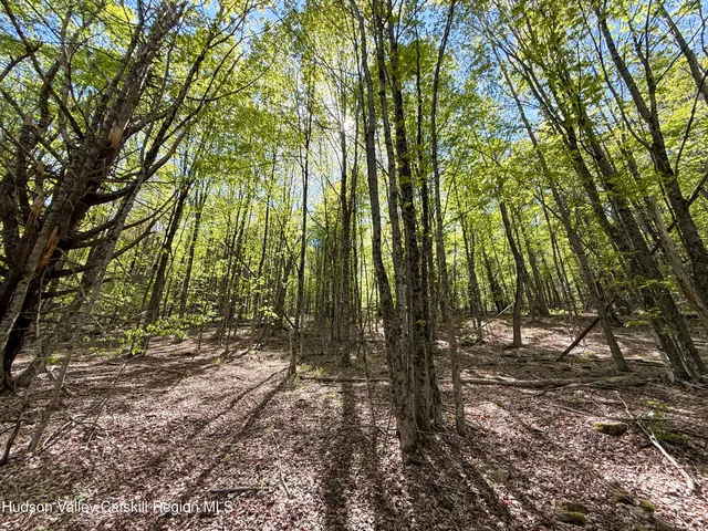 $84,900 | Lot 4 Quail Ridge, Margaretville, NY 12455