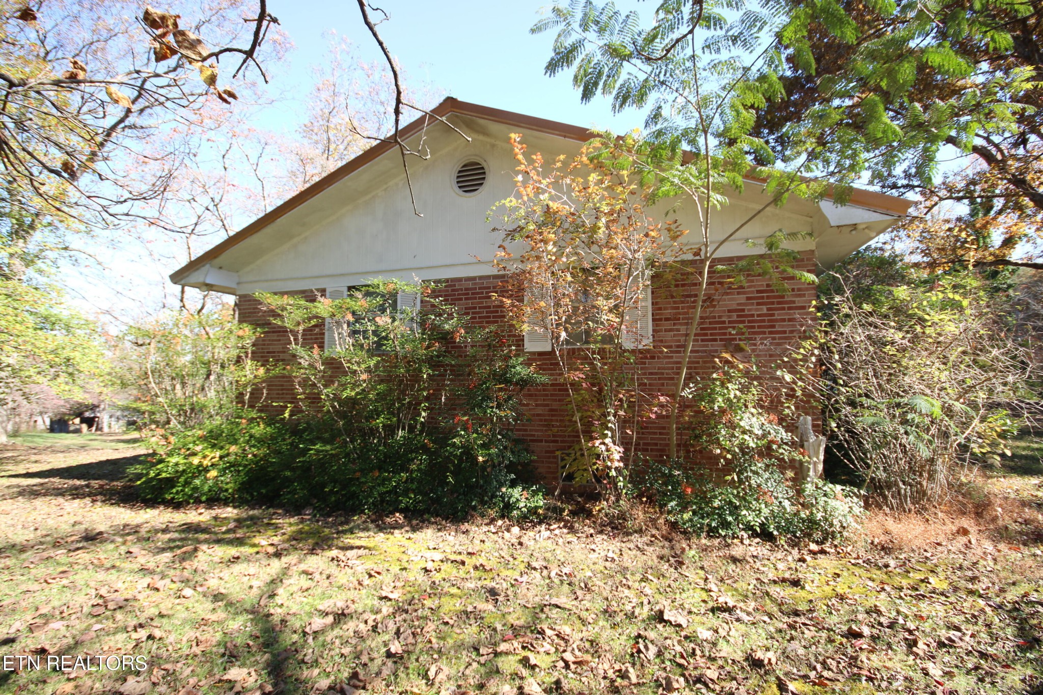111 Smokey Run Road Tellico Plains, TN 37385 - Photo 7 of 28
