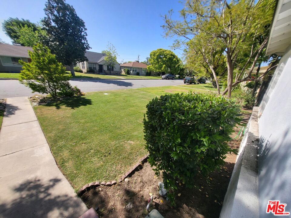 2831 Pine Street Bakersfield, CA 93301 - Photo 6 of 33 a view of a yard with plants