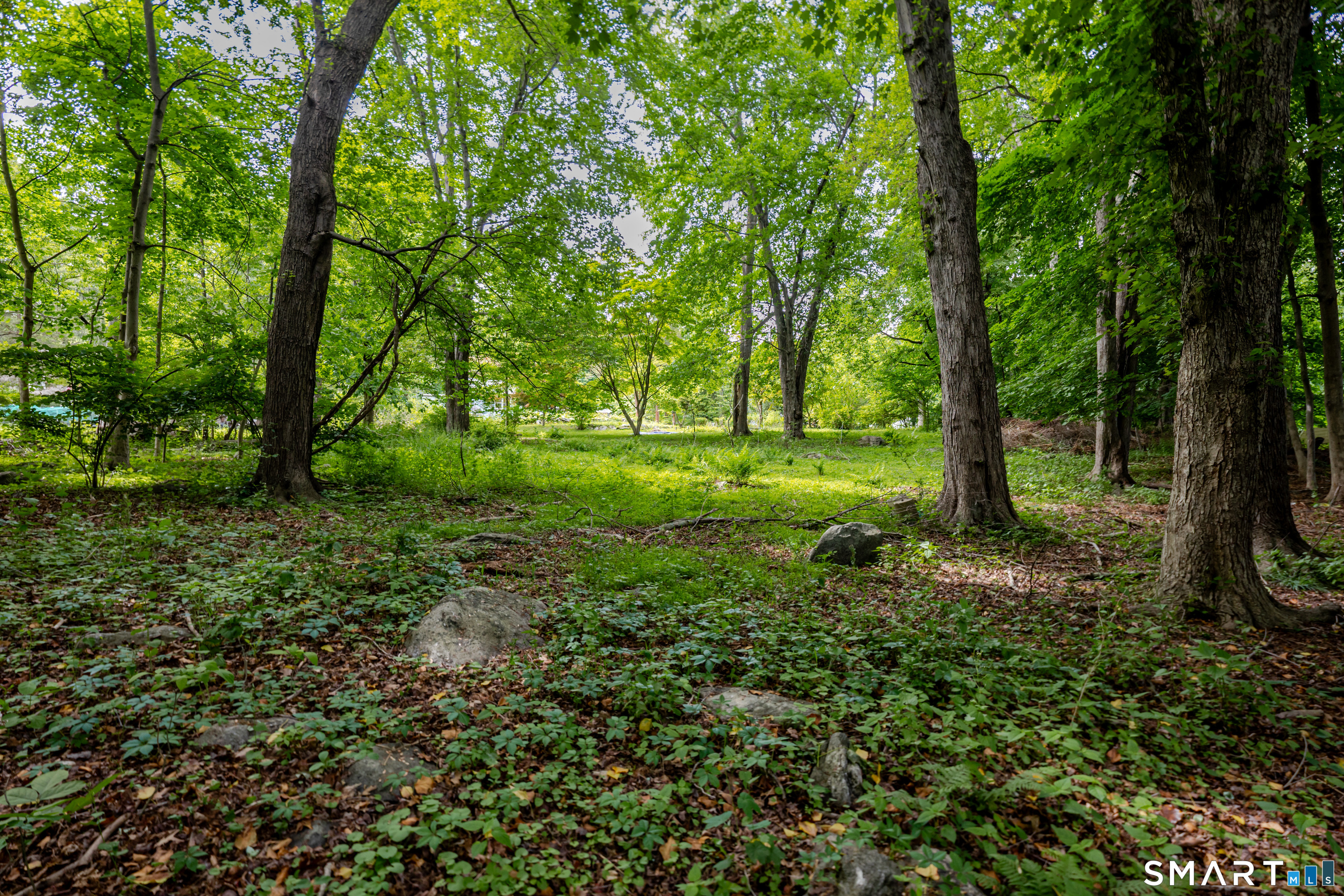 75 Westwood Road Stamford, CT 06902 - Photo 30 of 40 Backyard is a treed paradise