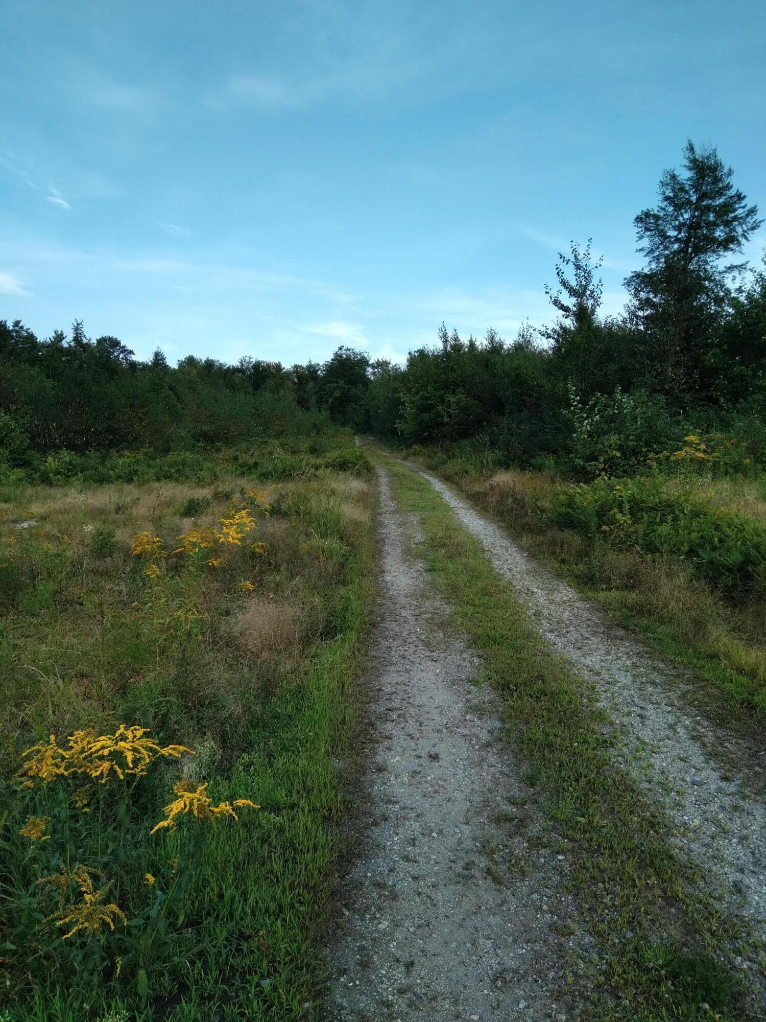 0 Federal Road Fryeburg, ME 04037 - Photo 13 of 21 Federal 1