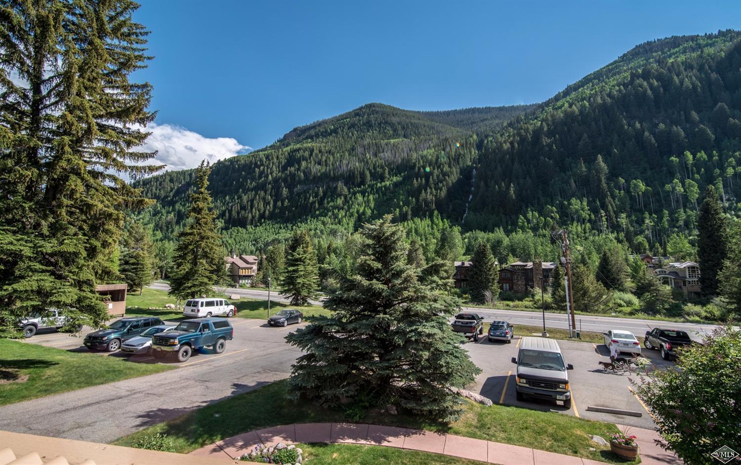 3901 Big Horn Road, Unit 2H Vail, CO 81657 - Photo 14 of 16 a view of backyard with outdoor seating and green space