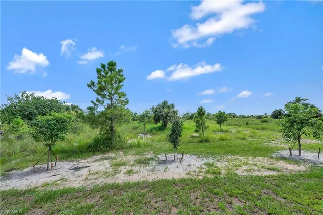 a view of a yard with a tree