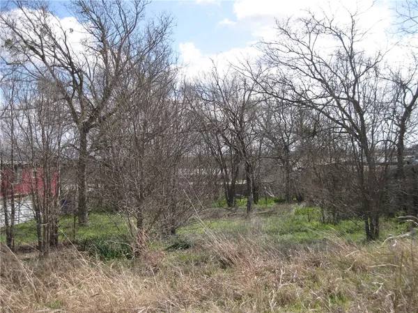 a view of outdoor space and green space