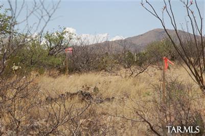15175 East Hillton Ranch Road Vail, AZ 85641 - Photo 14 of 17