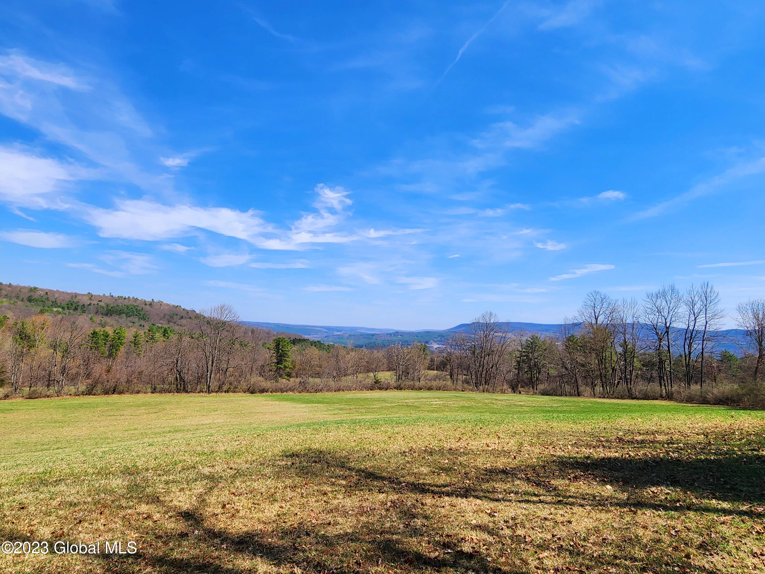 381 Terrace Mountain Road Schoharie, NY 12157 - Photo 3 of 18 20230414_141712