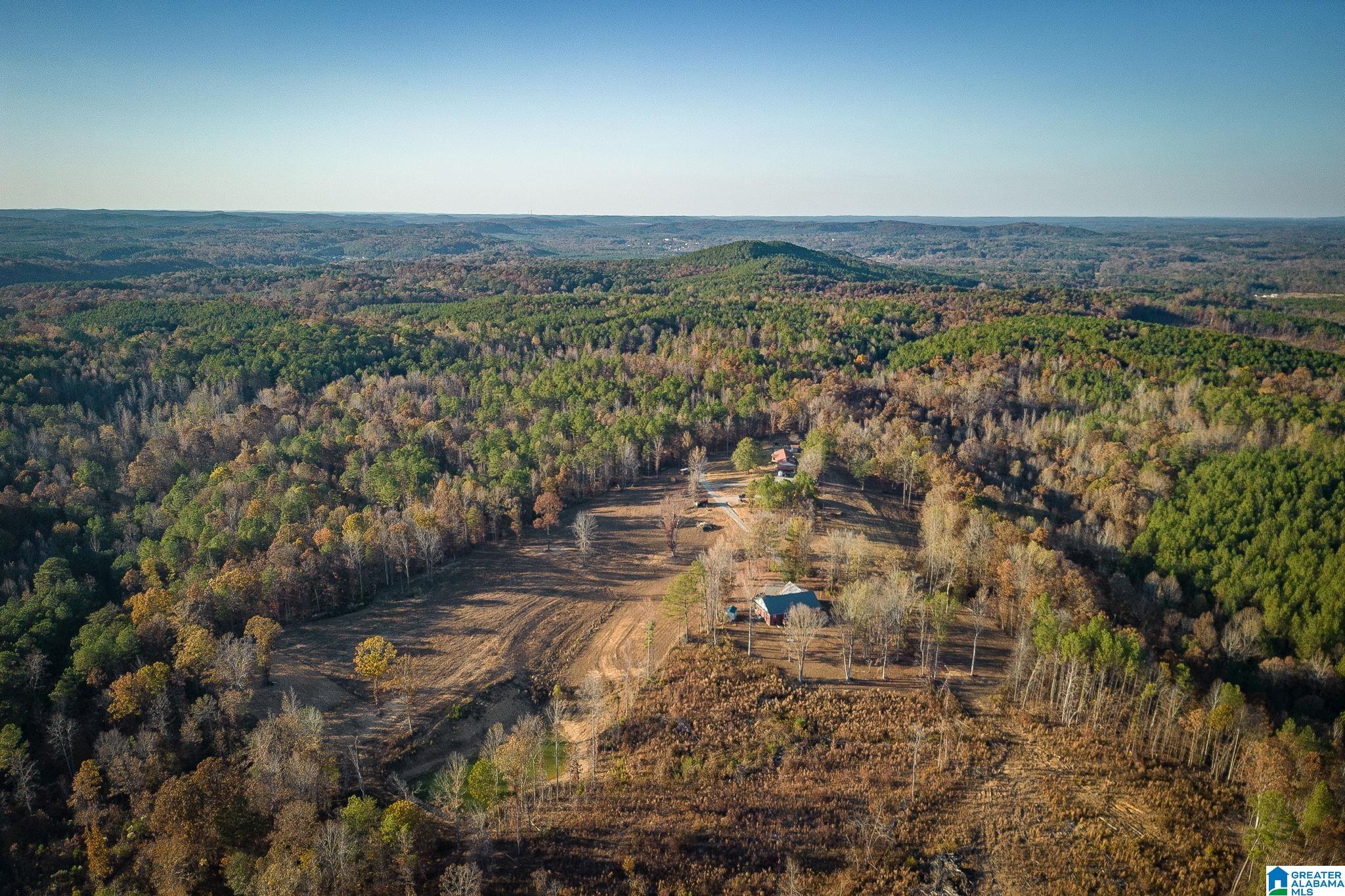 4948 Beech Grove Road Townley, AL 35587 - Photo 34 of 38
