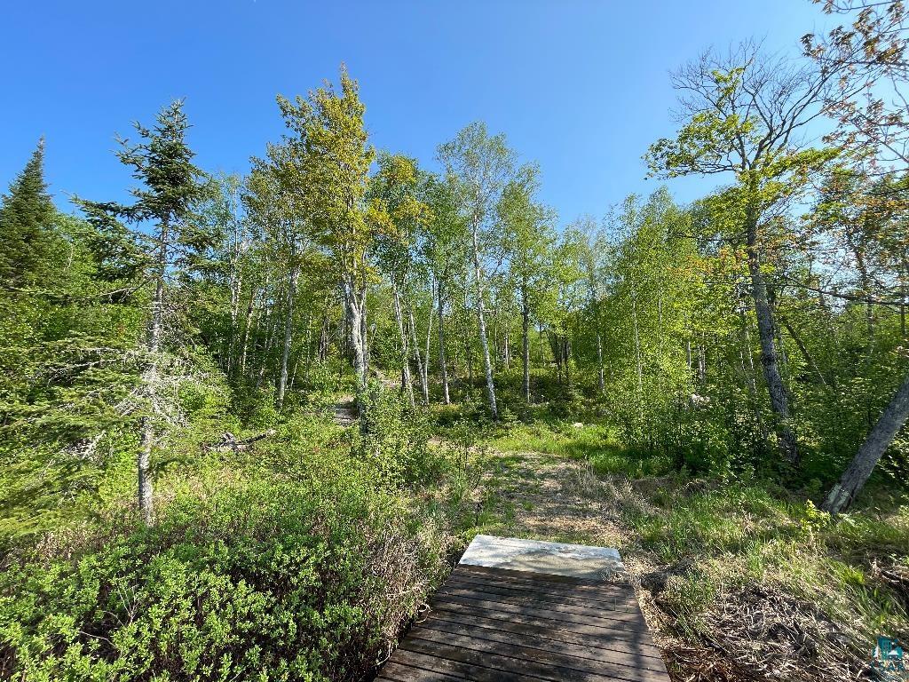 8321 Boulder Ridge Road Cook, MN 55723 - Photo 8 of 19 Gallery Image 8