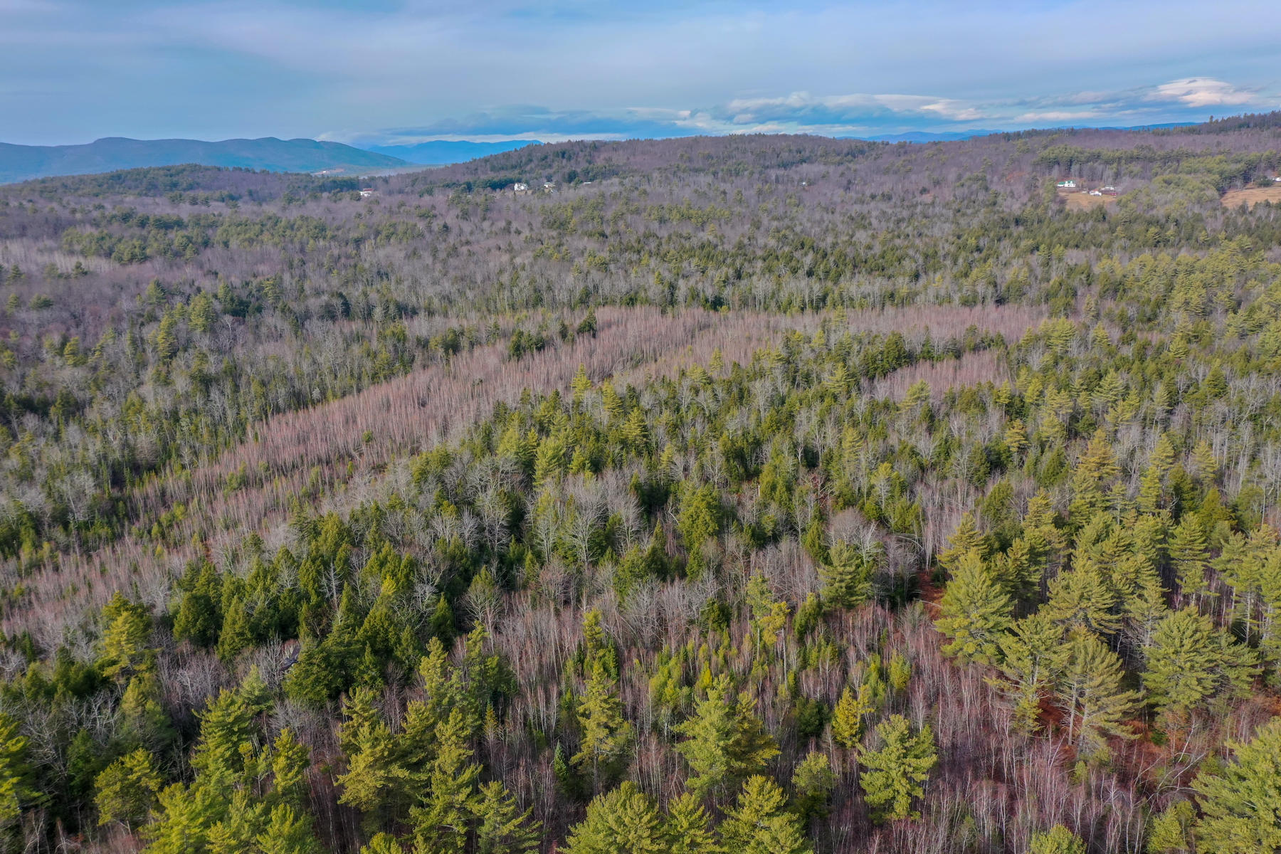 0 Grist Mill Road Bridgton, ME 04009 - Photo 34 of 48 Pic#-7