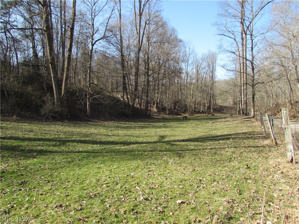 0 Calf Run Rd Street St. Marys, WV 26170 - Photo 2 of 4