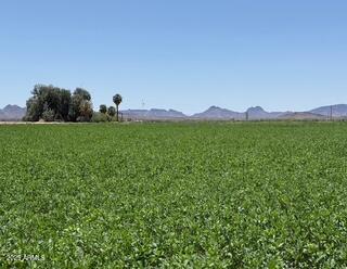 0 West Desert Rose Road Arlington, AZ 85322 - Photo 2 of 10 a view of a lush green hillside and a houses
