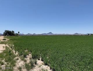 0 West Desert Rose Road Arlington, AZ 85322 - Photo 4 of 10 a view of a city with lush green forest