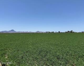 0 West Desert Rose Road Arlington, AZ 85322 - Photo 6 of 10 a view of a lush green space with a lake in the background