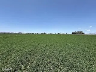 a view of a field with an ocean