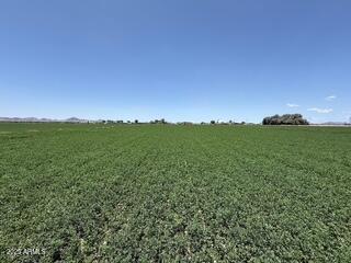 0 West Desert Rose Road Arlington, AZ 85322 - Photo 7 of 10 a view of a field with an ocean