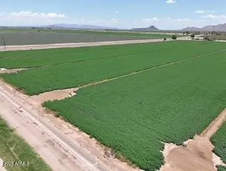 a view of a golf course with a lake