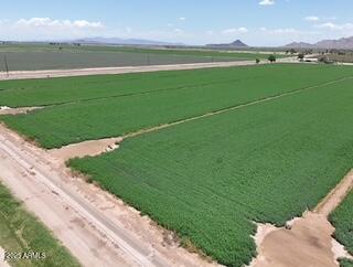 0 West Desert Rose Road Arlington, AZ 85322 - Photo 10 of 10 a view of a golf course with a lake