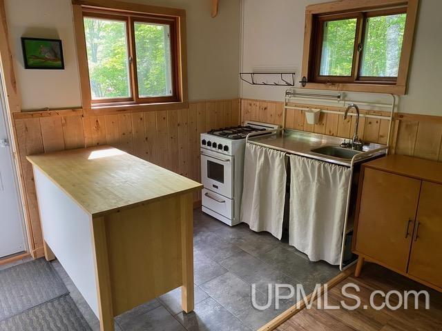 Tbd Smith's Fisheries Road Mohawk, MI 49950 - Photo 7 of 34 Gallery Image 7