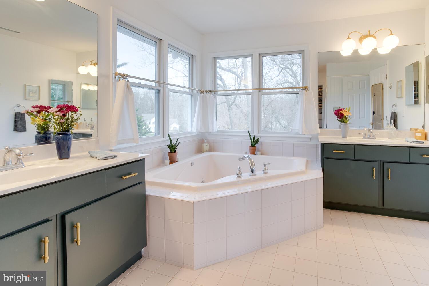 8 Grace Ridge Court Monkton, MD 21111 - Photo 30 of 79 primary bath-jetted tub and lots of natural light