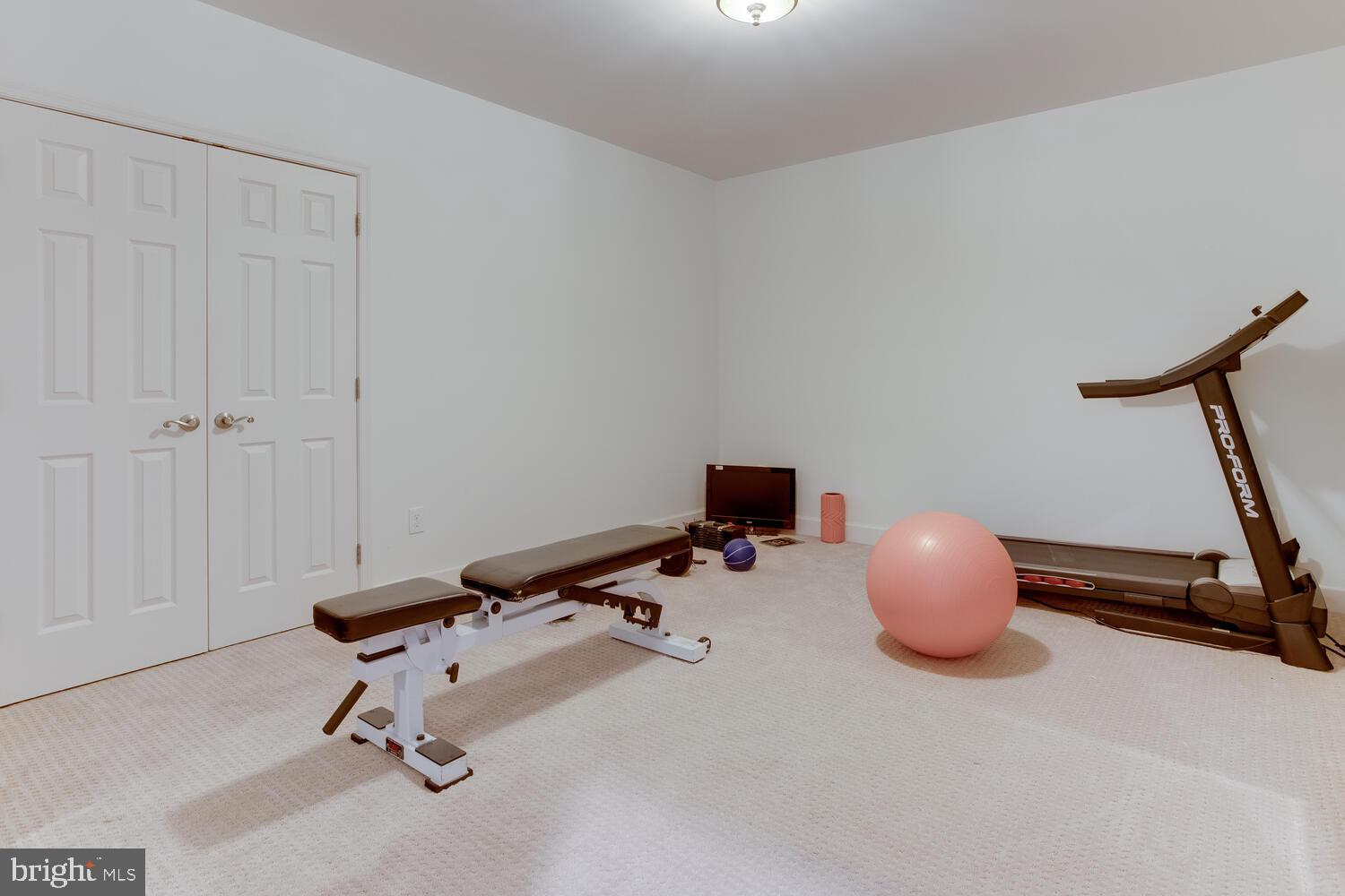 8 Grace Ridge Court Monkton, MD 21111 - Photo 51 of 79 lower level room