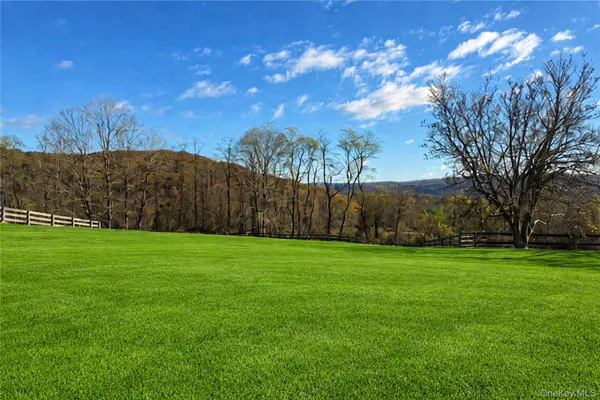 a view of a back yard