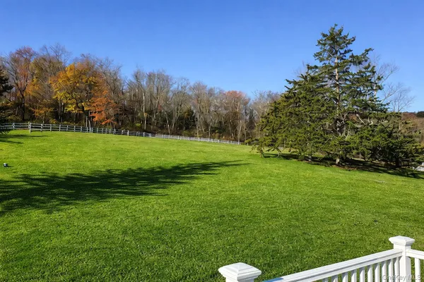 a view of a grassy field with trees