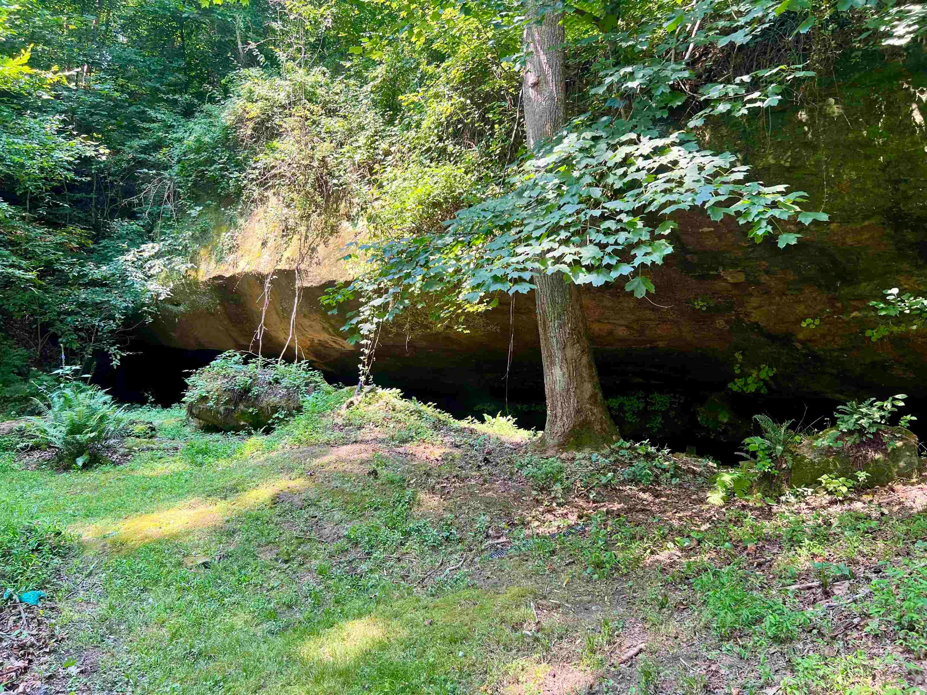 128 Genoa Hill Road Genoa, WV 25517 - Photo 20 of 20 Gallery Image 20