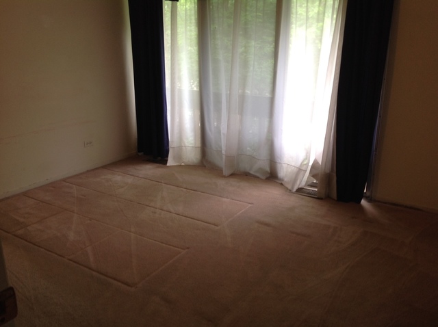 5904 Greenview Road, Unit 162B Lisle, IL 60532 - Photo 17 of 25