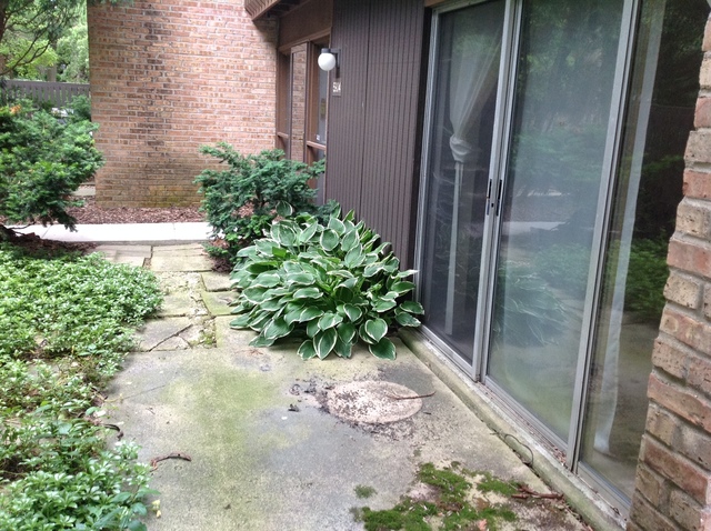 5904 Greenview Road, Unit 162B Lisle, IL 60532 - Photo 24 of 25