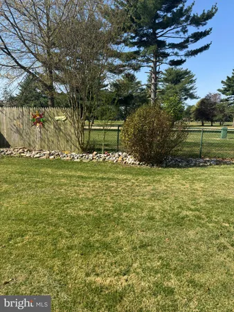 a view of a yard with large trees