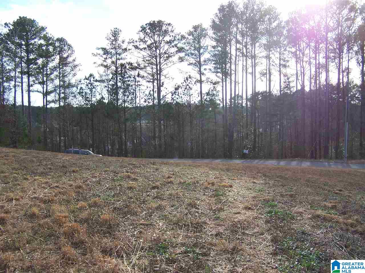 Alabama Avenue, Unit 4 Oneonta, AL 35121 - Photo 1 of 10