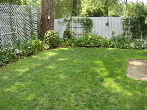 266 Nottingham Street Springfield, MA 01104 - Photo 5 of 13 a view of a garden with a building in the background