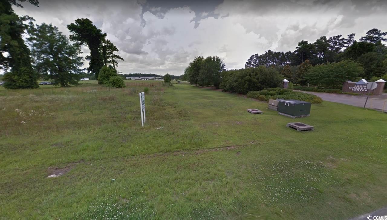 Lot 1 Commerce Centre Loris, SC 29569 - Photo 2 of 3