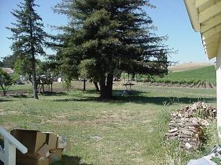 1026 Sunset Road Napa, CA 94558 - Photo 2 of 7 Gallery Image 2