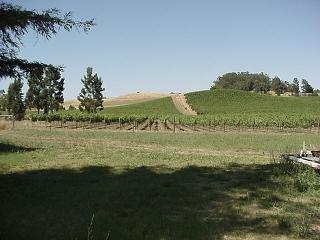 1026 Sunset Road Napa, CA 94558 - Photo 3 of 7 Gallery Image 3