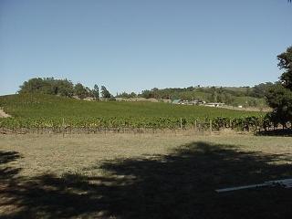 1026 Sunset Road Napa, CA 94558 - Photo 4 of 7 Gallery Image 4