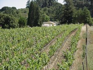1026 Sunset Road Napa, CA 94558 - Photo 7 of 7 Gallery Image 7