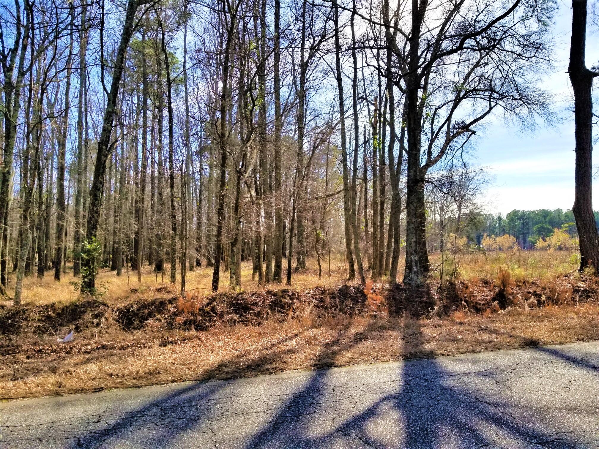 1913 Sam Nexsen Road Summerton, SC 29148 - Photo 1 of 4 20230116_134907_resized