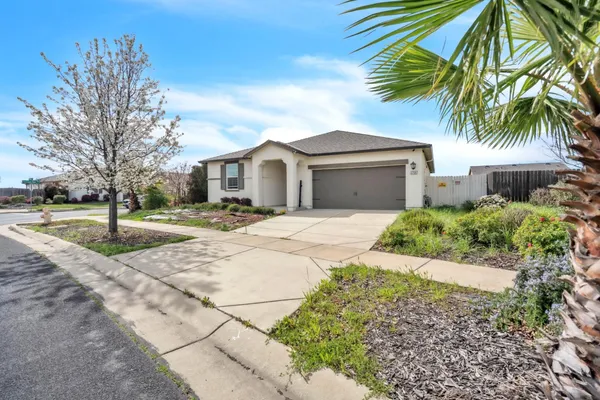 a front view of a house with a yard and potted plants
