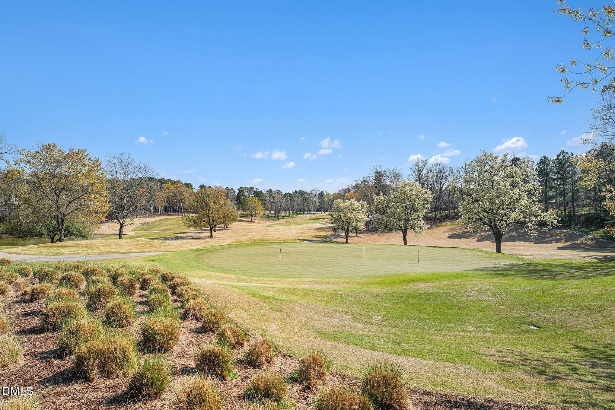 97514 Franklin Ridge Chapel Hill, NC 27517 - Photo 50 of 54 048_file_2521
