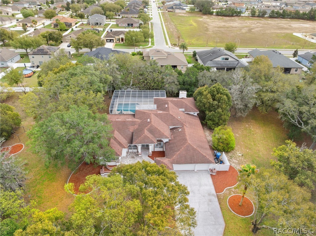 348 Florian Way Spring Hill, FL 34609 - Photo 37 of 56