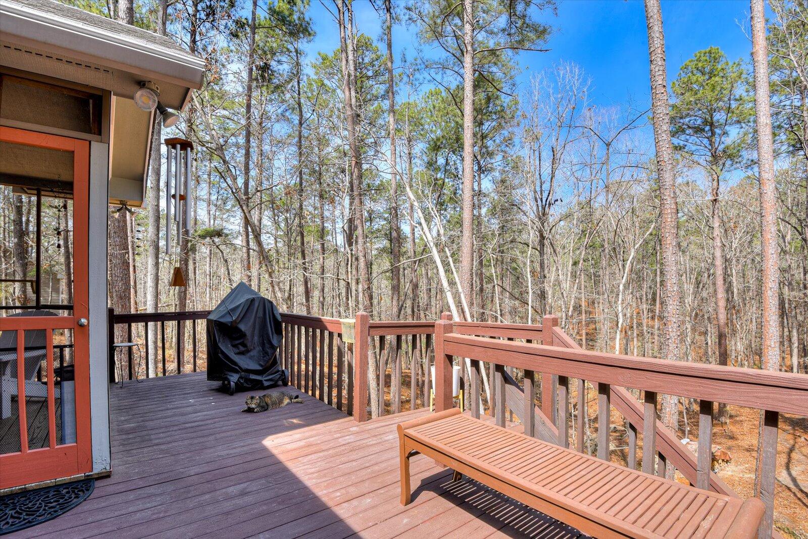 205 River Place McCormick, SC 29835 - Photo 59 of 69 58-158