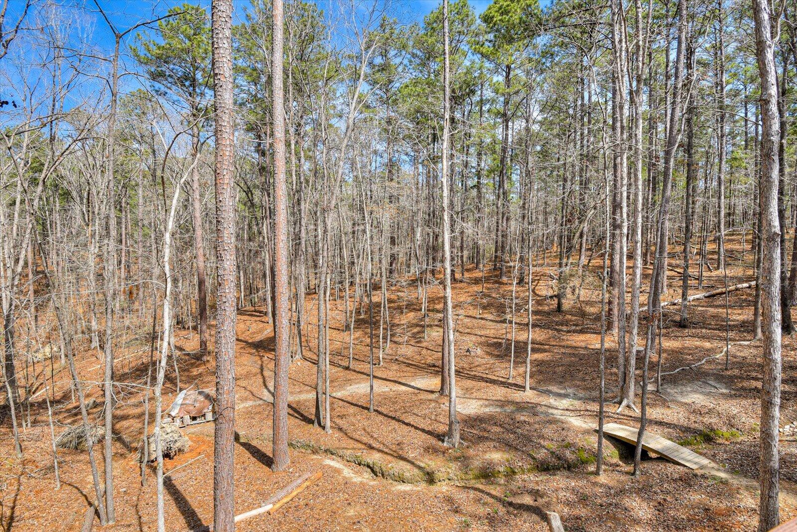 205 River Place McCormick, SC 29835 - Photo 60 of 69 59-159