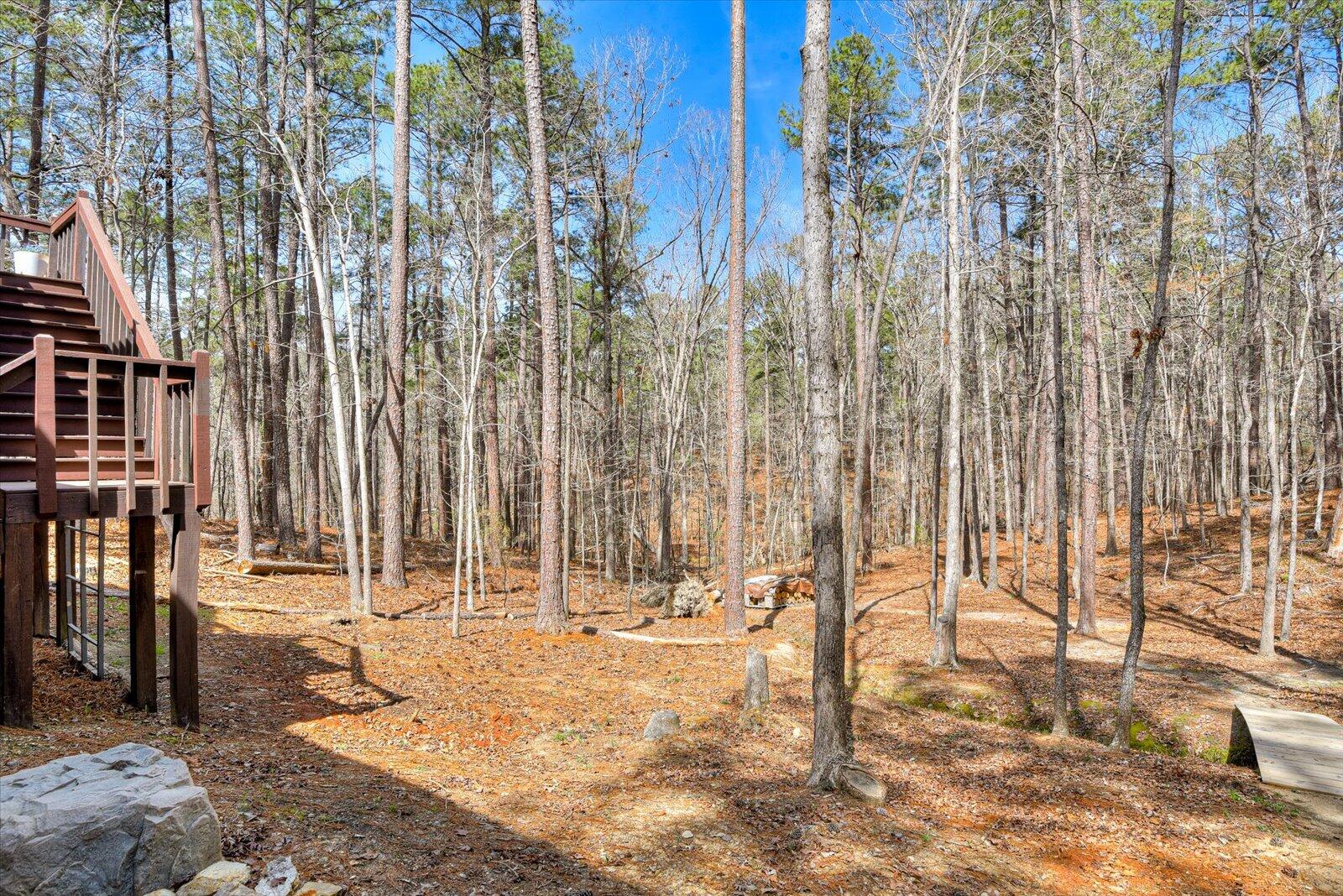 205 River Place McCormick, SC 29835 - Photo 61 of 69 60-160
