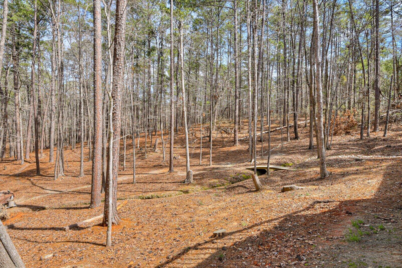 205 River Place McCormick, SC 29835 - Photo 64 of 69 63-163