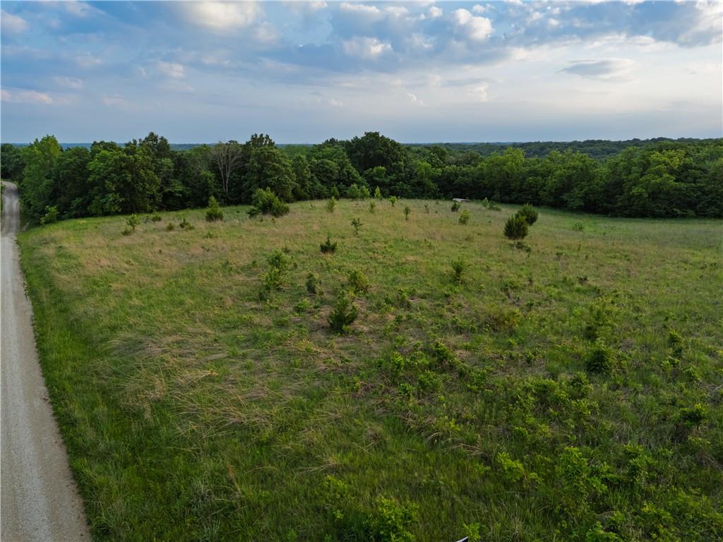 Tbd Rattlesnake Road Polo, MO 64671 - Photo 5 of 32