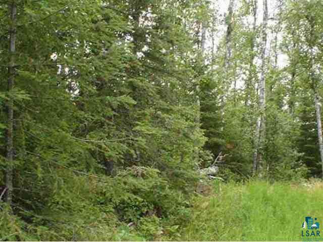 1804 Camp Lake Road Ely, MN 55731 - Photo 8 of 9 Gallery Image 8