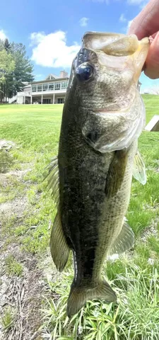 $1,200,000 | 29120 Ketterhagen Road, Burlington, WI 53105